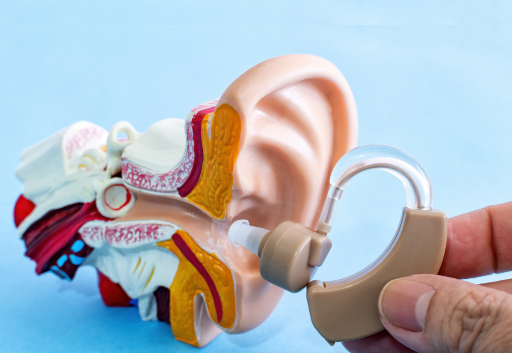 Hearing model next to hearing aid