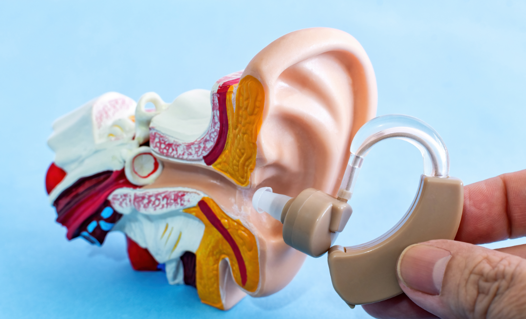 Hearing model next to hearing aid